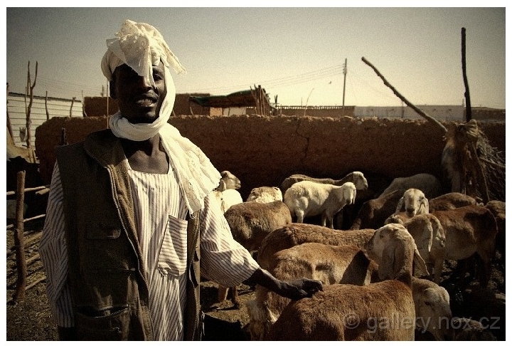 IMGP2778r.jpg - Sudan © Marian Golis (2015) 