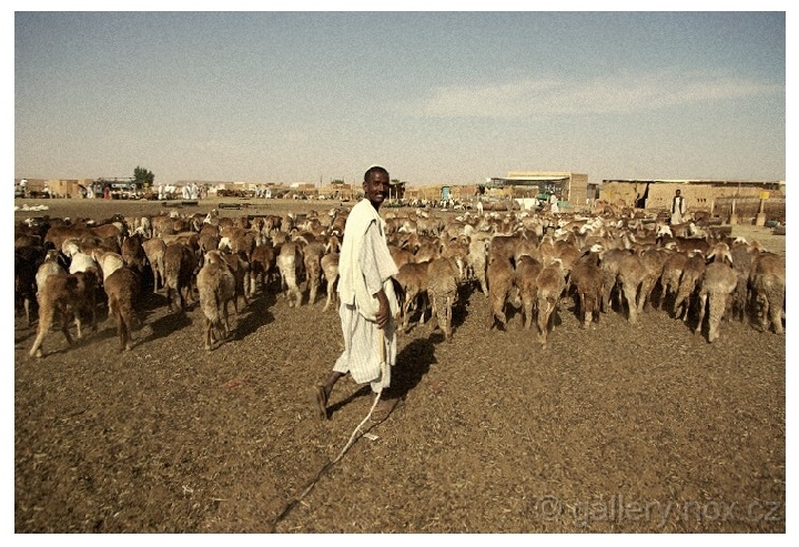 IMGP2792_2r.jpg - Sudan © Marian Golis (2015) 